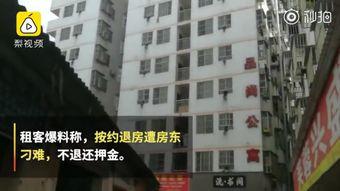 南宁房东爆料视频最新,揭秘租房市场的那些不为人知真相